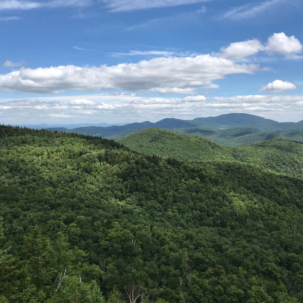 Meet your Posher, Andres